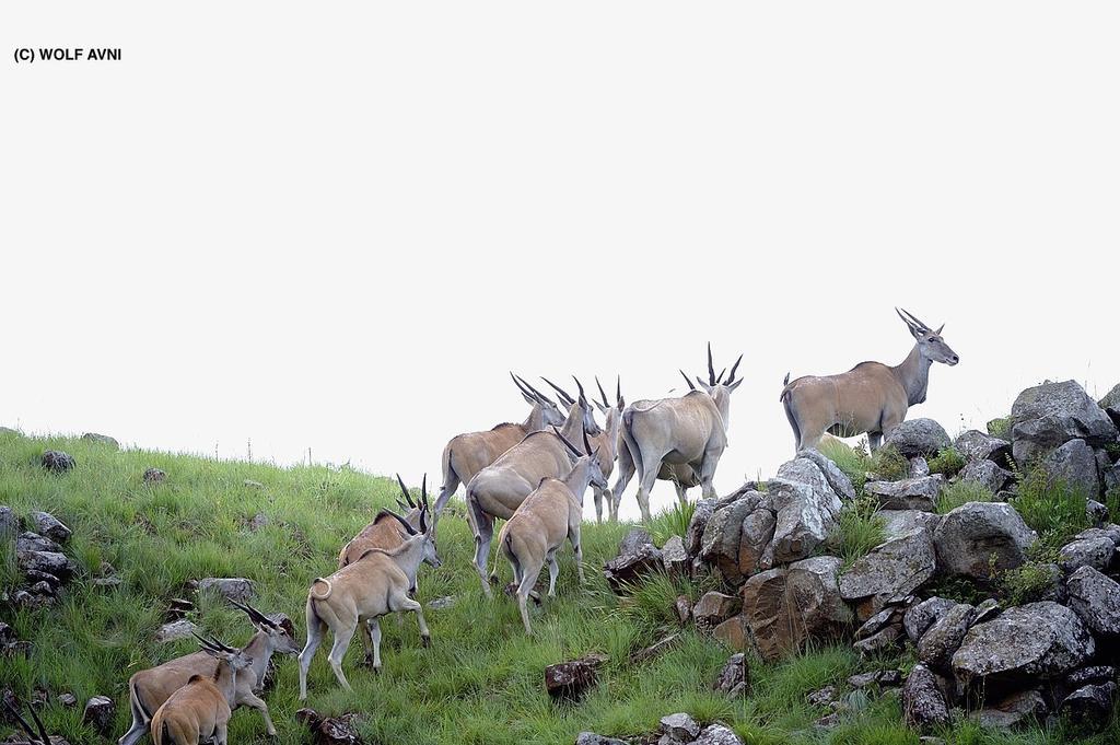 Giantscup Wilderness Reserve Underberg Luaran gambar