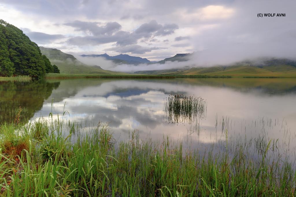 Giantscup Wilderness Reserve Underberg Luaran gambar